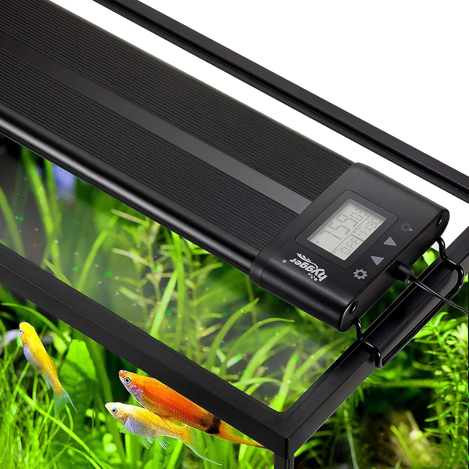 

Auto On/Off 48-55 Inch LED Aquarium Light with Timer, Sunrise Sunset, Full Spectrum for Planted Tanks