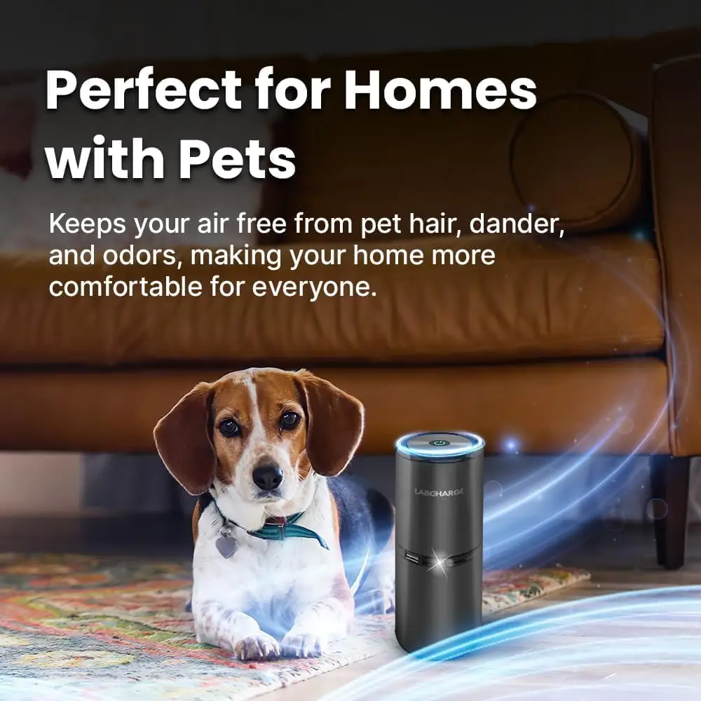 LabCharge kleine ionische luchtreiniger voor thuis en slaapkamer – stil HEPA-filter – dekt 250 m2 - gratis reiniger voor huisdieren, haar, glad