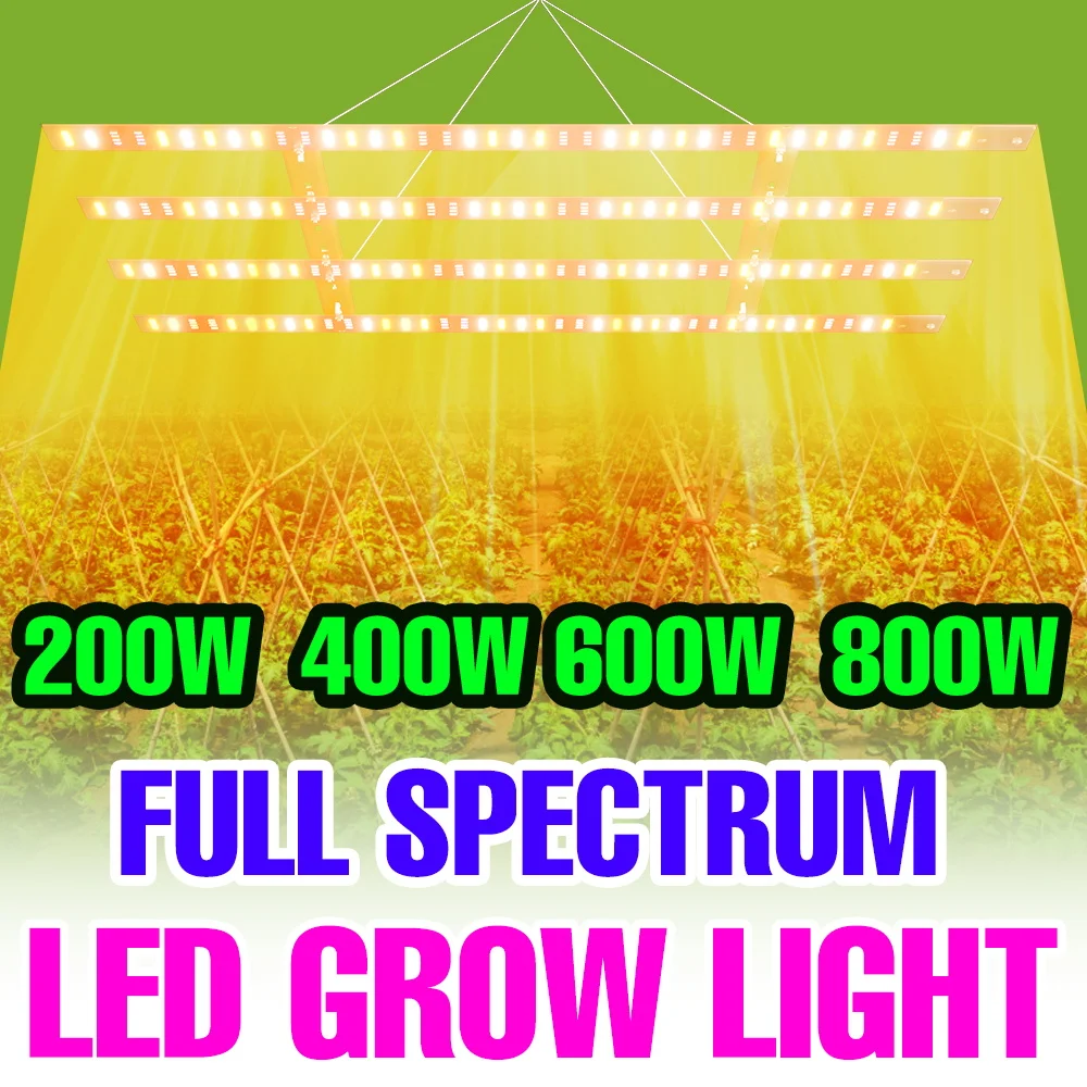 

800W LED Grow Lamp Full Spectrum Plant Fill Light 220V Indoor Hydroponic Greenhouse Tent Vegs Succulent Seeds Cultivate Lighting