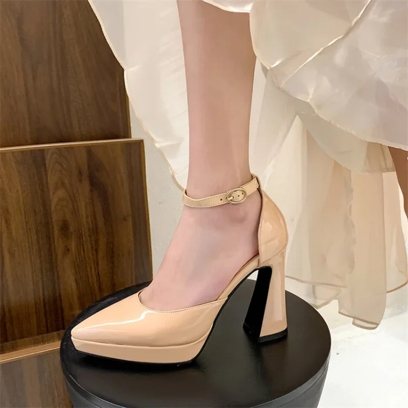 Spring and Autumn New style fashion Pointed tip high-heeled Women\'s Shoes Shallow mouth Buckle Simplicity Thick heel Women Shoes