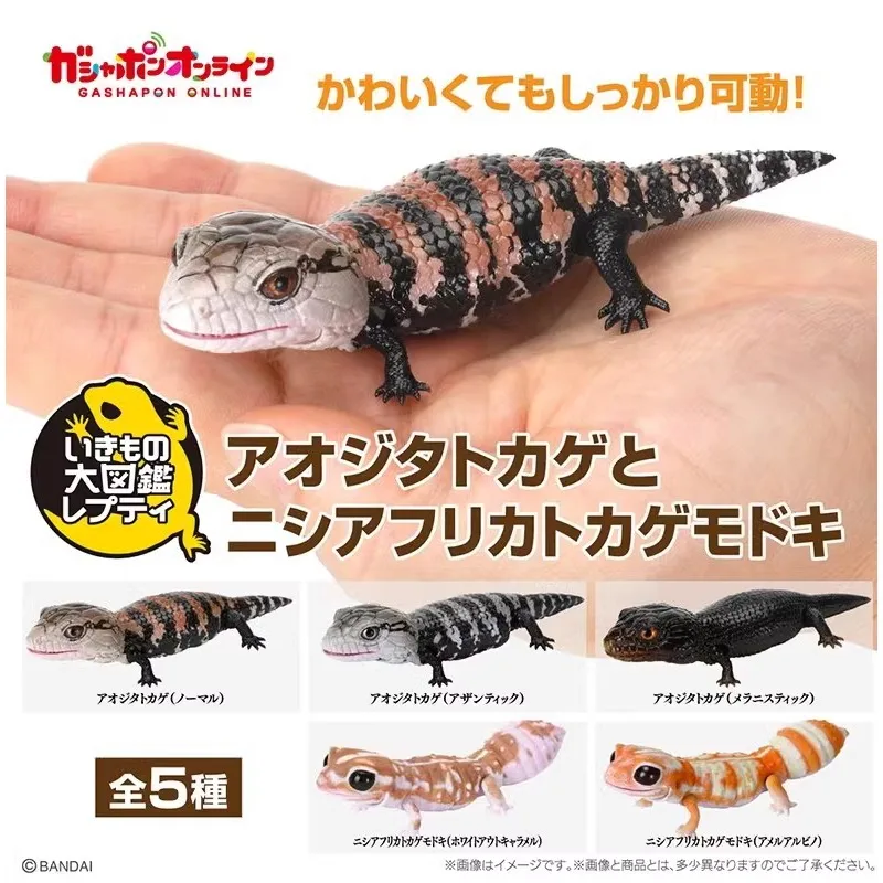 Original Bandai Gashapon Big Biological Map Gecko Lizard Blue-tongued Skink Simulation Movable Animal Action Figure Model Toy