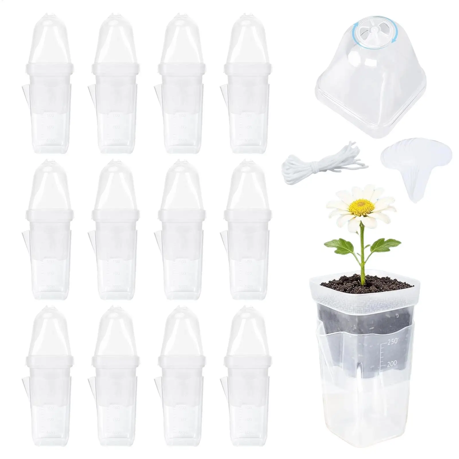 12 Pcs Clear Nurser…