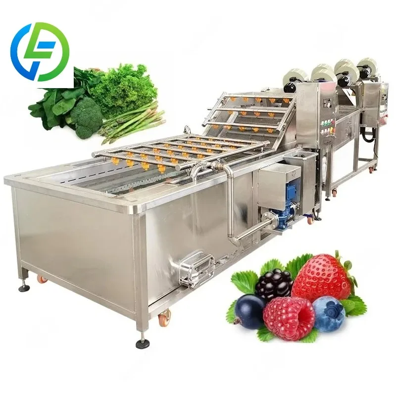 Customized Baby Food Fruit Washer Elevator Salad or Vegetable Washing and Cleaning Machine with Ozone - view 3