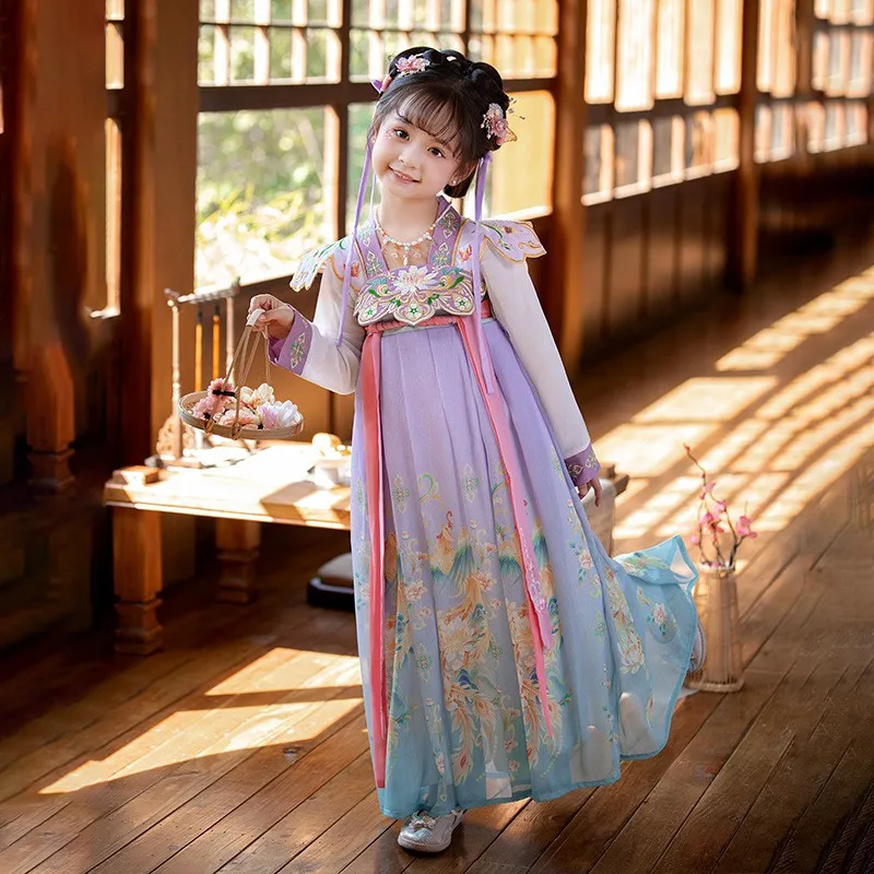 Vintage Chinese Style Ancient Dress Girls Hanfu Dress New Super Fairy Baby Girl Spring Summer Long Sleeve Kids Children Cosplay