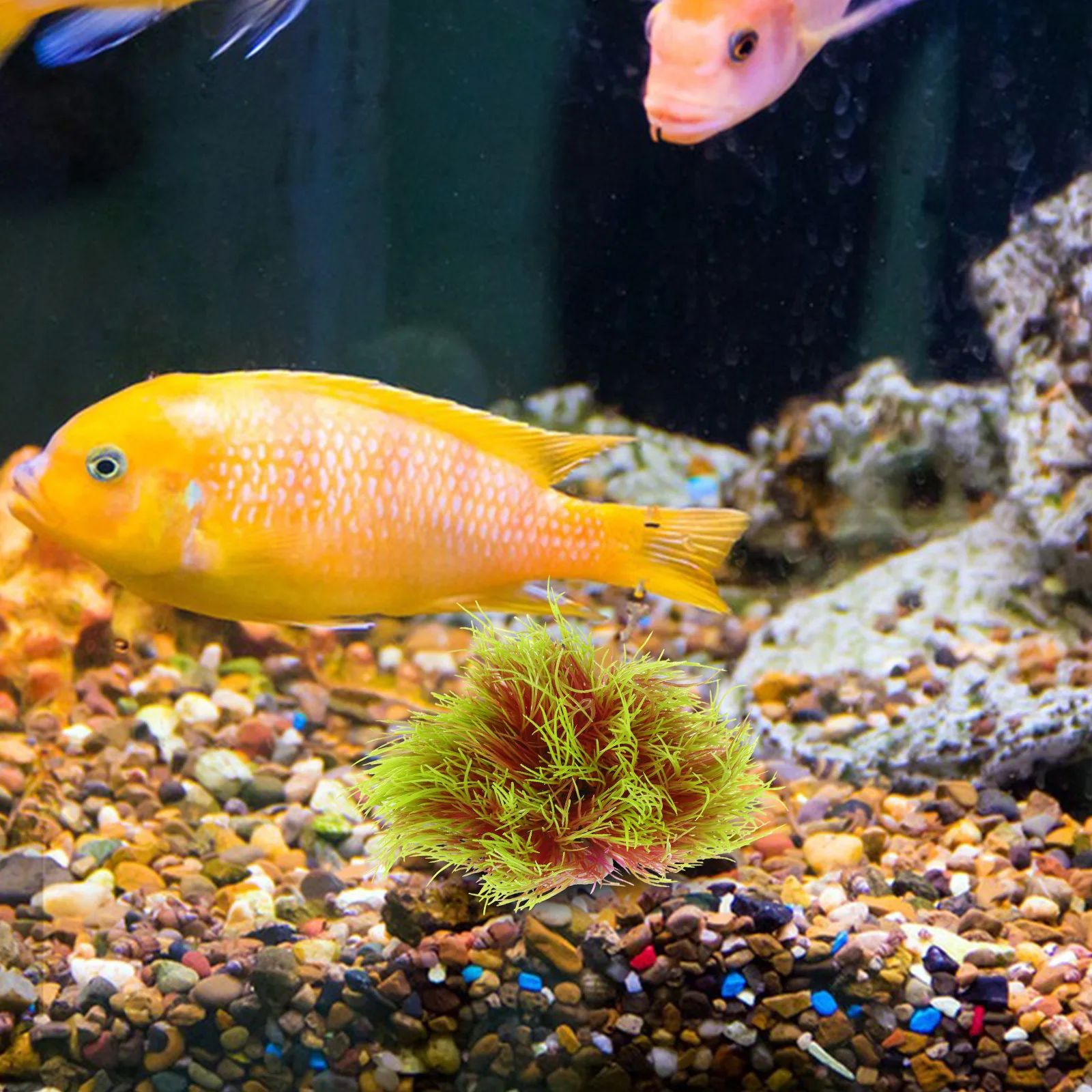

Realistic Aquarium Décor Plastic Plants Decorations Artificial Fish Tank Aquatic Landscapes