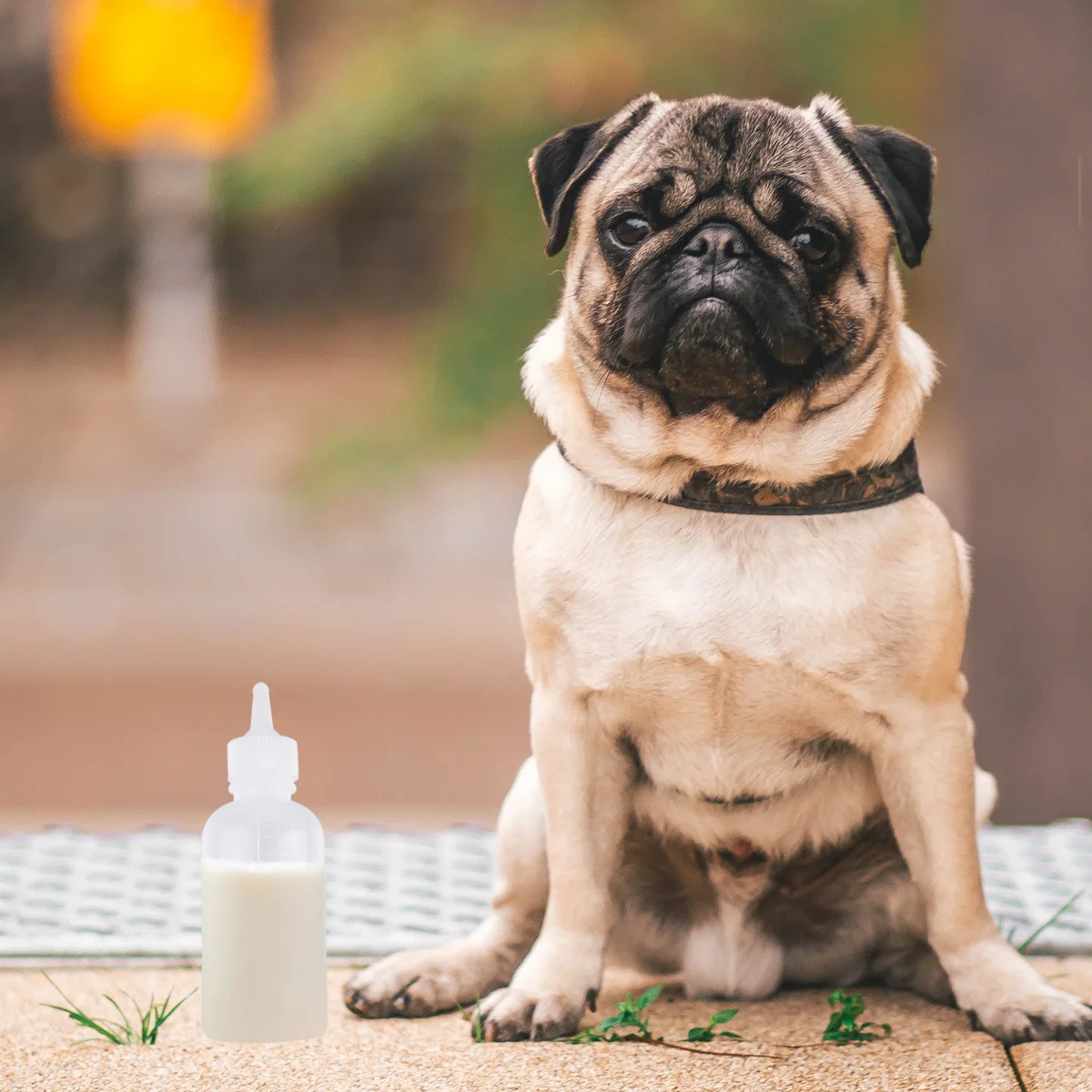 

6Pcs 120ml Pet Nursing Bottle for Small Pets Dogs Cats Practical Silicone Feeder Set Pet Nurser Bottles Nurser Bottle for Cat