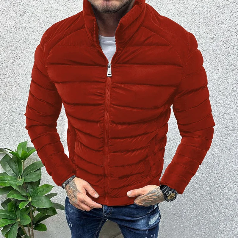 Fall Winter Warm Down Jacket For Men Casual Pure Color Slim Long Sleeve Slim Fit Cotton Padded Coat Mens Leisure Zipper Jackets