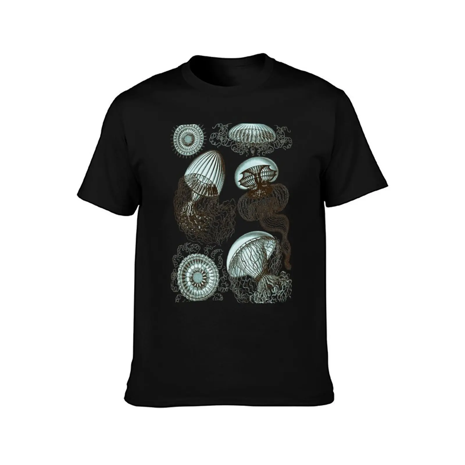 Ernst Haeckel Jellyfish Leptomedusae Brown Teal T-Shirt Lightweight Sport Basic T-Shirt