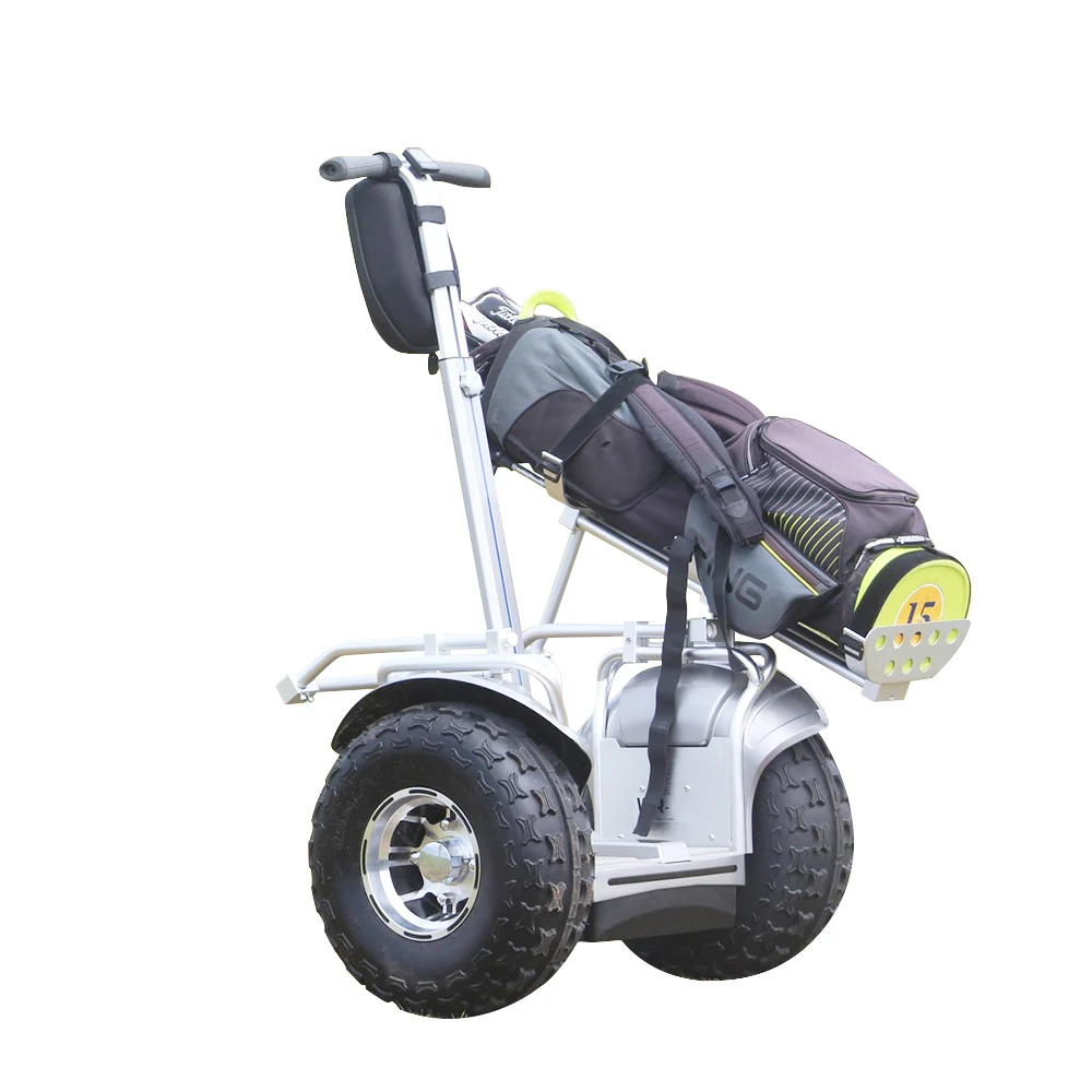 19 Inch Fat Tire for Hoverboard Electric Golf Carts Popular with Golf Bag Holder and Removable Battery Max Load 150kg view 3