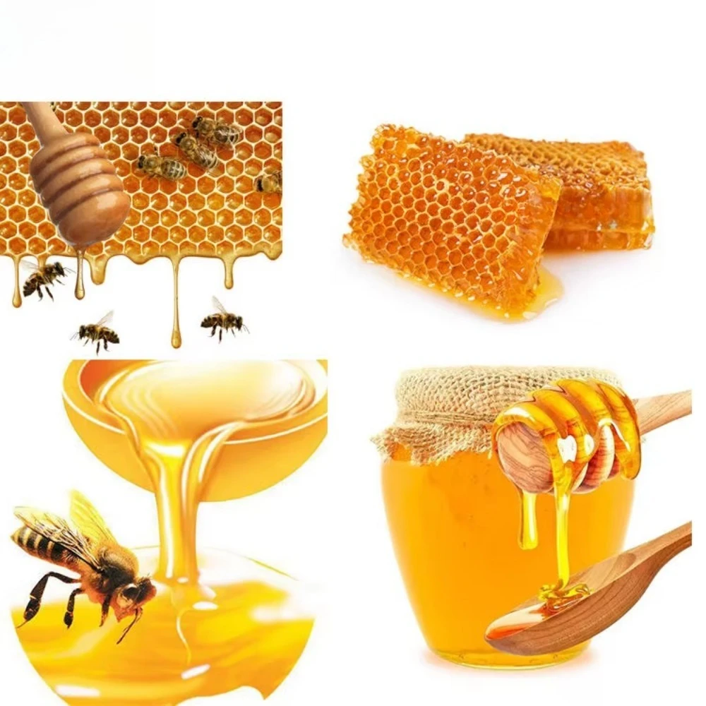 Honey Refine Machine Honey Processing Plant Low Price Honey Extracting Machine