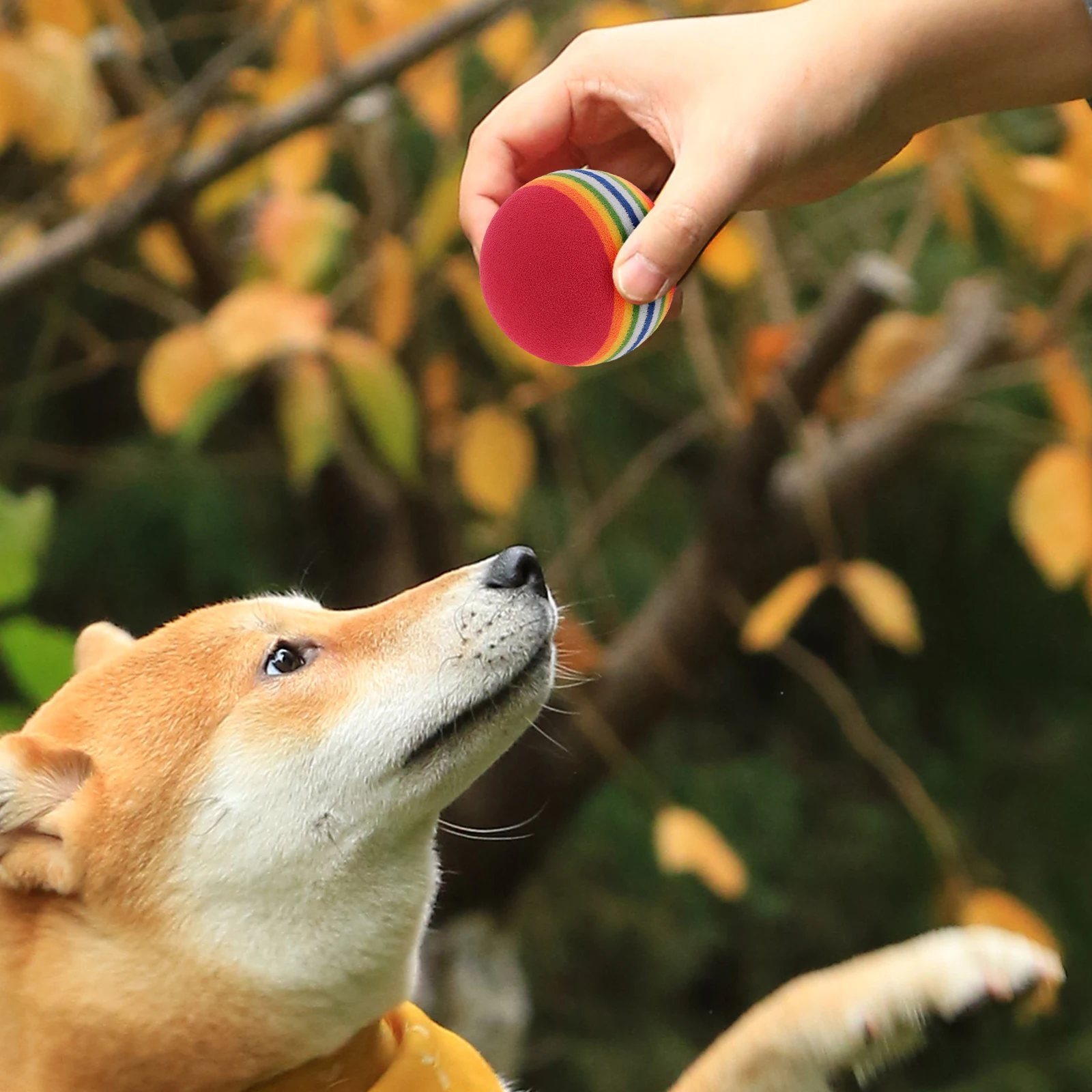 Pelotas de tenis para masticar mascotas, 10 unidades, 42Mm, para perros pequeños y medianos, limpieza de dientes duradera, prevención de enfermedades de las encías, nudo resistente a mordeduras