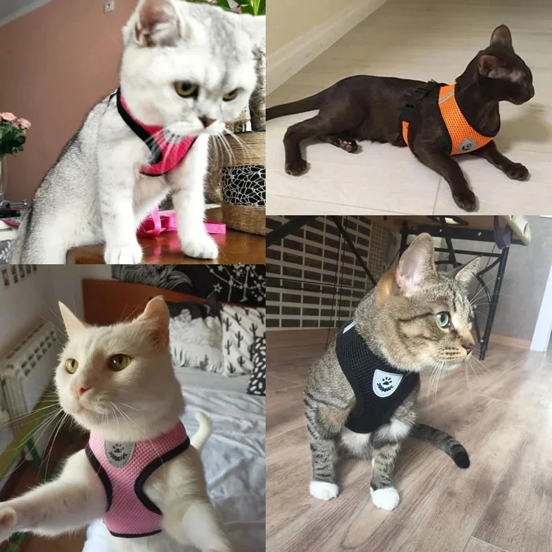 Adjustable Mesh Dog Harness And Leash Set For Small Medium Pets_voghion.com
