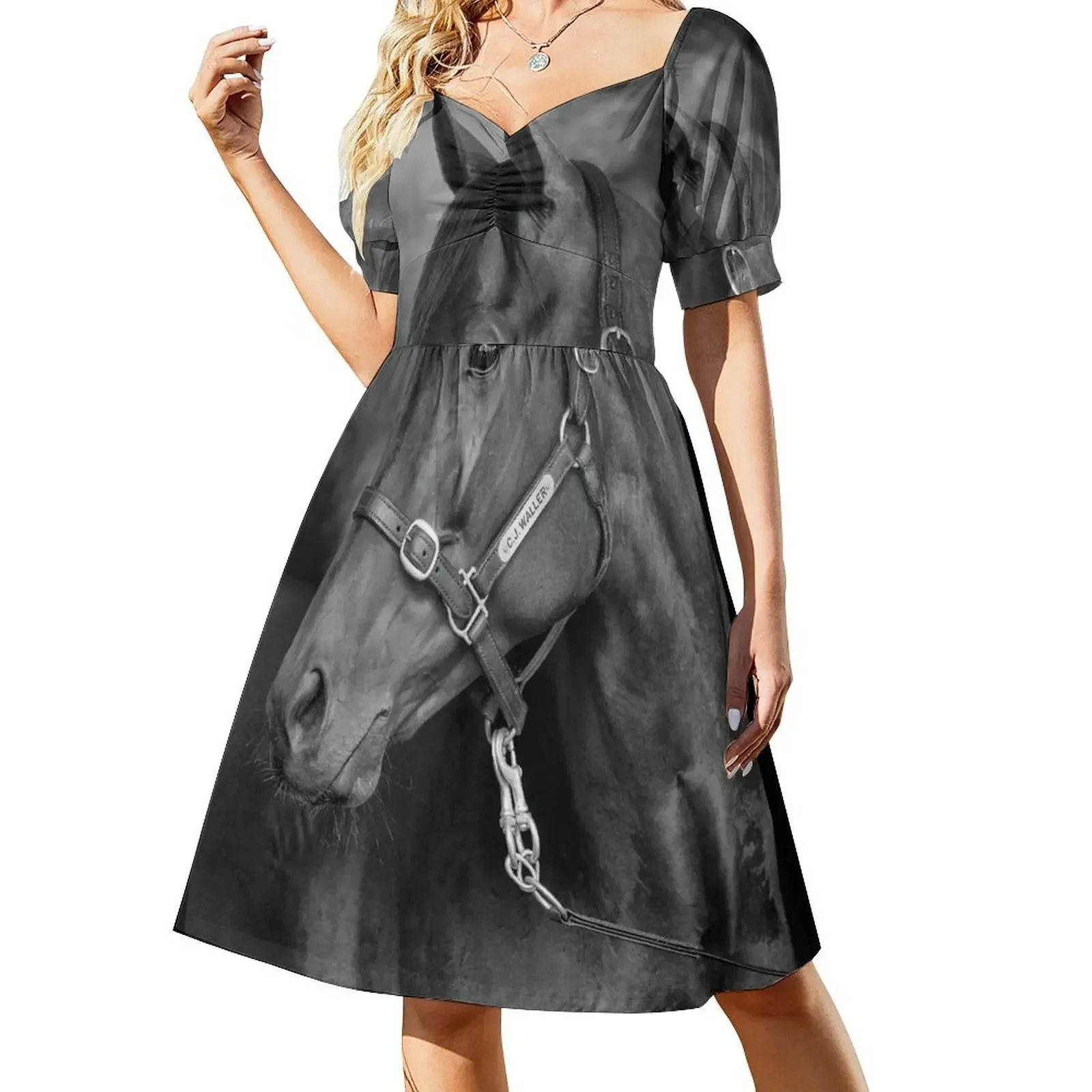 

Winx - Farewell to A Champion Short-Sleeved Dress Woman clothing Female clothing summer outfits for women 2025 Dress