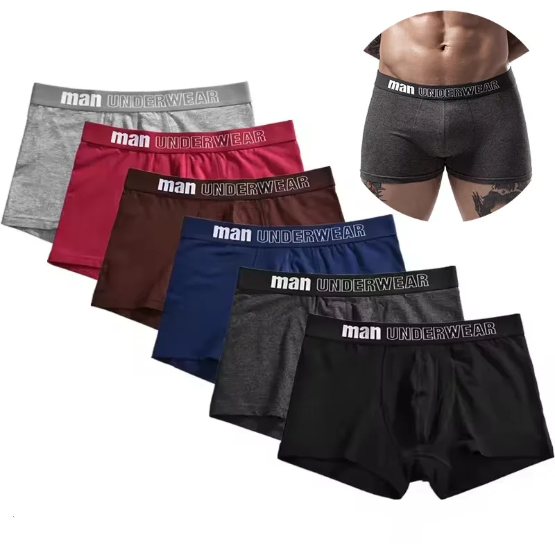 6Pcs Men's Panties Sexy Boxer Shorts Soft Men Underpant High Quality Pure Cotton Sexy Underwear 3D Pouch Boxer Shorts Size L-4XL