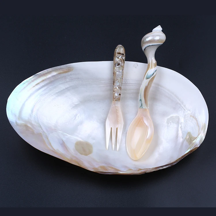 New Design Fashion White Mother Of Sea Shell Nice Scoop