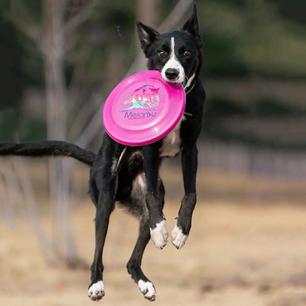 Dog Training Toy 24cm Pet Flying Discs Bite Resistant Luminous Dog Throwing Type Toy Soft Interactive Dog Toy for Playing