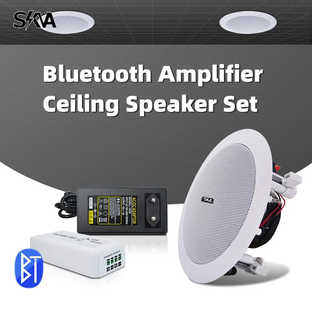 amplificador-bluetooth-mini-amplificador-portatil-y-altavoz-de-techo-coaxial-de-20w-combo-puede-ser-sistema-de-sonido-de-cine-en-casa-para-sala-de-estar