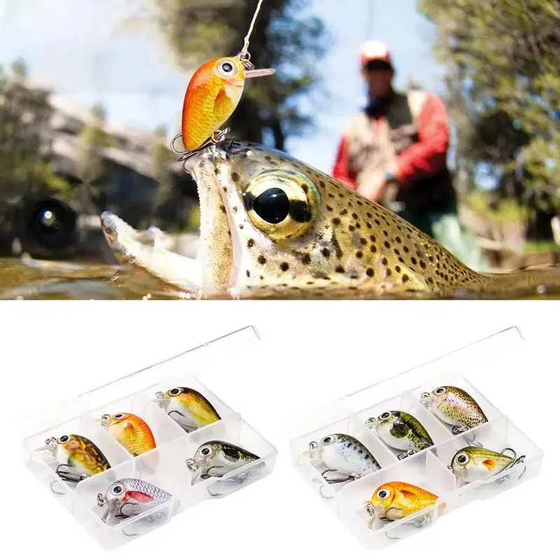 Hard Baits For Bass Fishing Hard Knock Fishing Lure Topwater Lures Kit 5pcs Topwater Lures Kit Fishing Hard Baits Topwater Baits