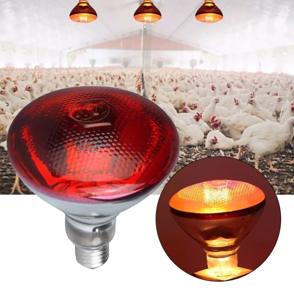 1Pcs Poultry Infrared Heat Lamp Waterproof Anti-Explosion Thickened Light Bulbs For Piglet Chicken Duck Birds E27 Heating Lamp