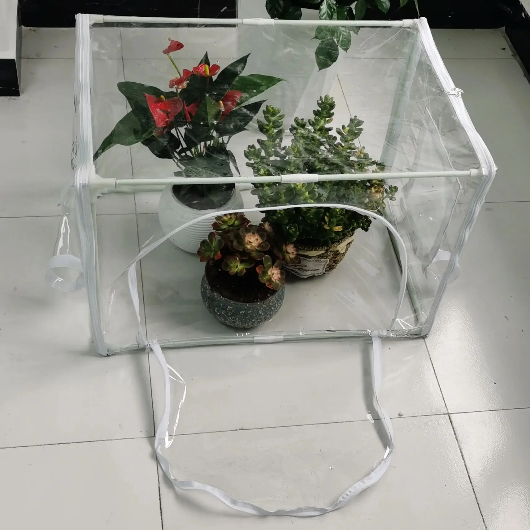 Compact Indoor/Outdoor Greenhouse for Potted Plants & Grow Bags - Space-Saving, Portable, Ideal for Balconies, Patios & Rooms view 5