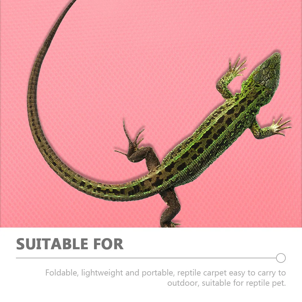 

Cuttable Eva Reptile Carpet Liner Soft Comfortable for Reptile Feet Tripe Teeth Excellent Accessory for Terrarium