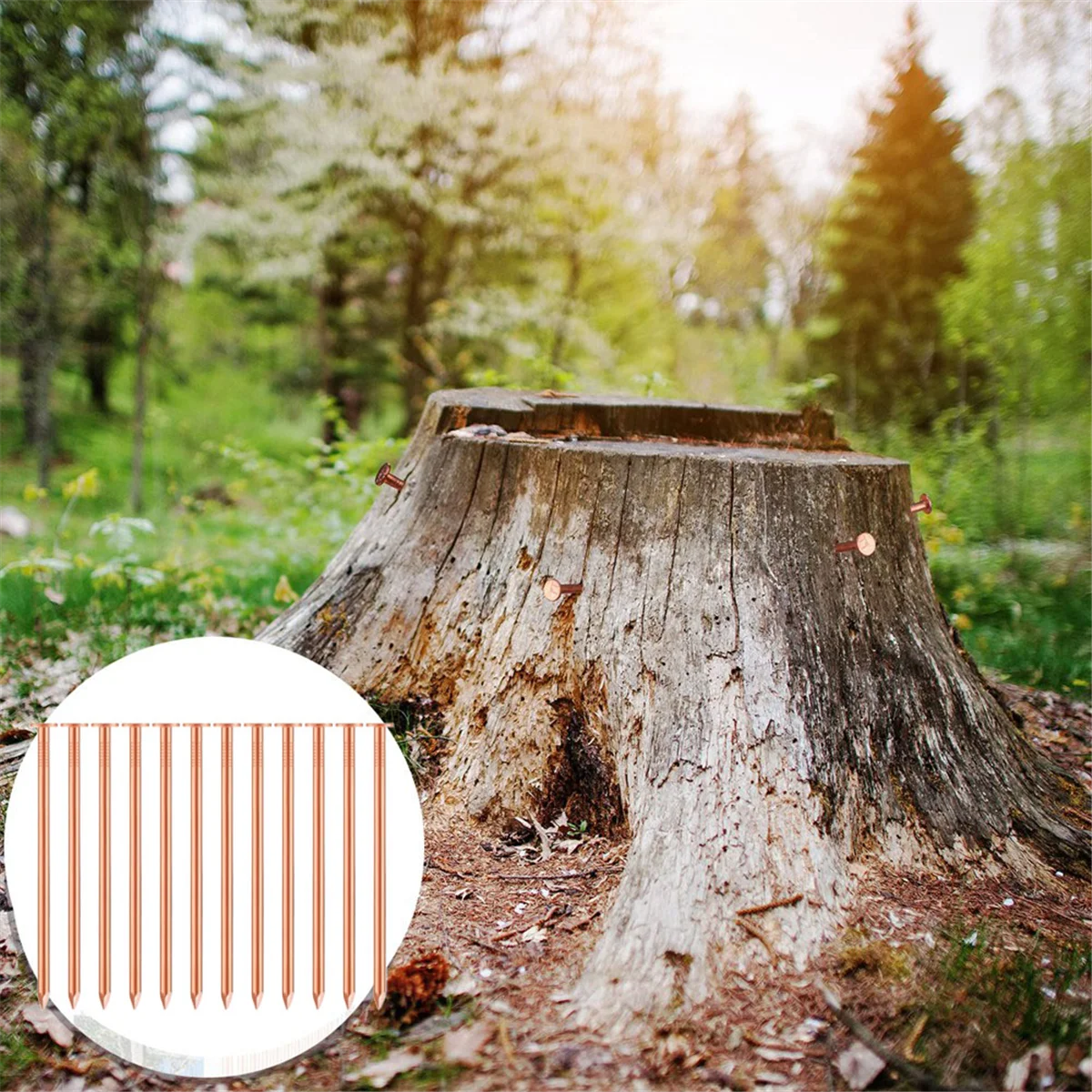 

YHYS 20 шт. Медные гвозди для уничтожения деревьев, пней и — длиной 3,5 дюйма, в комплект из 1 стальных гвоздей и 1 дрелью.