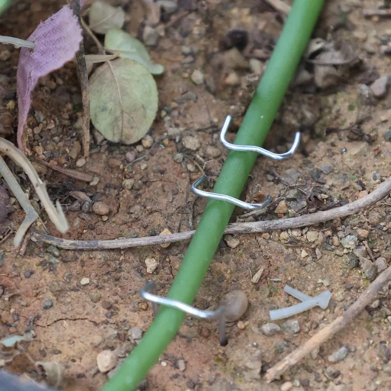 Thumbnail 4 - #16 Budget Straight Pins for Smart Shoppers