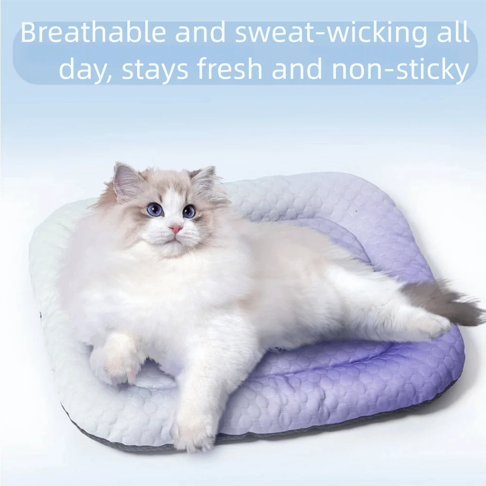 

Cat House Mat Dopamine Pet Double-Sided Sleeping Mat Breathable Non-slip Dog Kennel Soft Washable Dog Bed Pet Shop