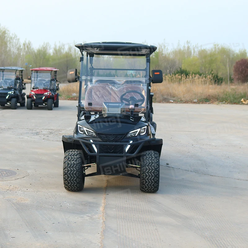 Shininglsv New Model Custom Electric Vehicle Utility Off-road Lithium Battery Cool Street Legal Golf Carts