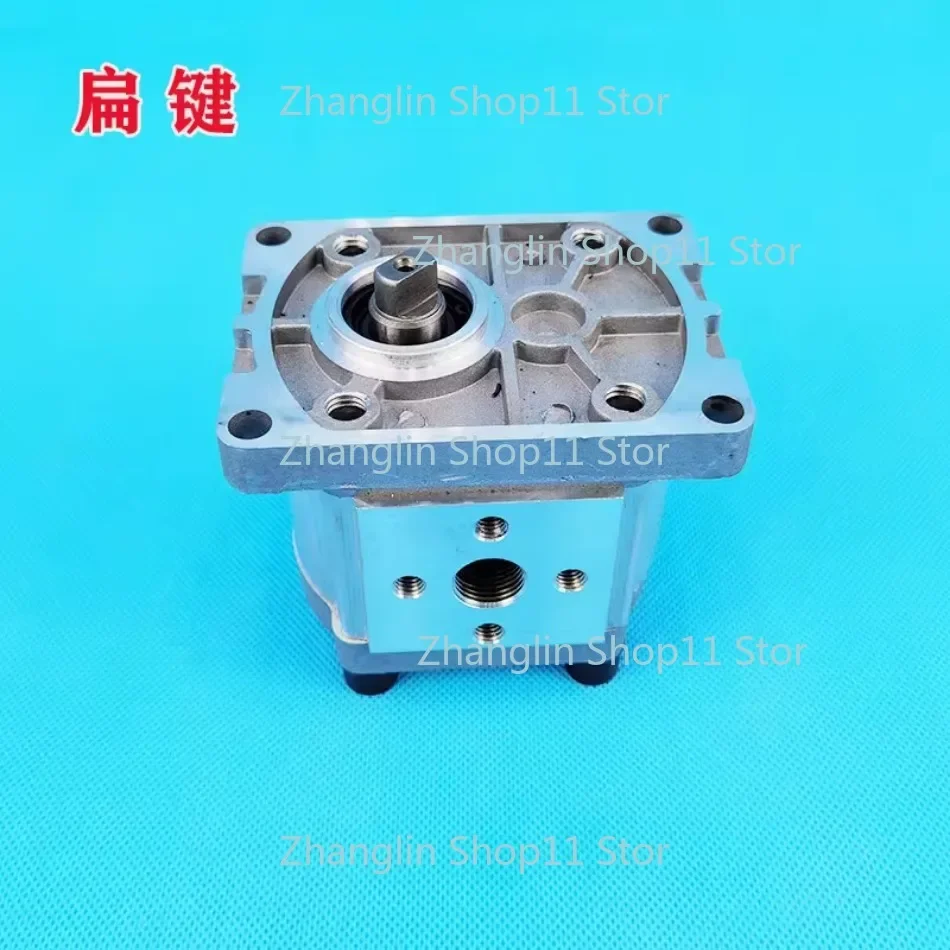 1pc CBN Gear Pump CBN-F306/F314/F316/F320/F325 Hydraulic Oil Pump Hydraulic Power Micro Gear Pump Spline Flat Key