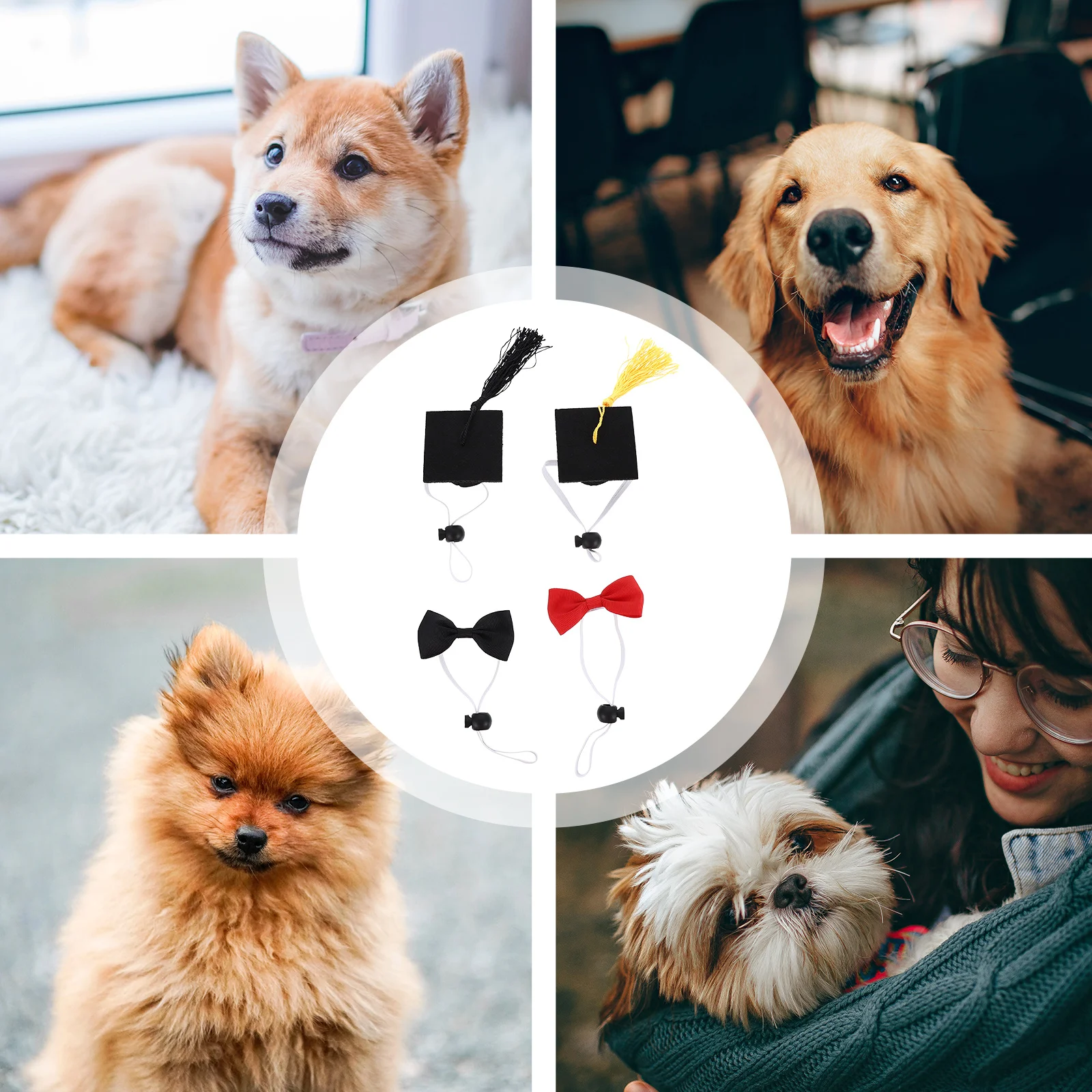 

4Pcs Pet Doctor Cap Graduation Puppy Accessories Elastic Band Graduate Hat to Wear Dog Hats Pet Supplies
