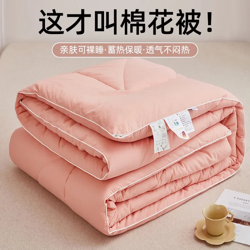 2024 new minimalist pure cotton Xinjiang cotton quilt winter quilt core spring and autumn quilt universal in all seasons