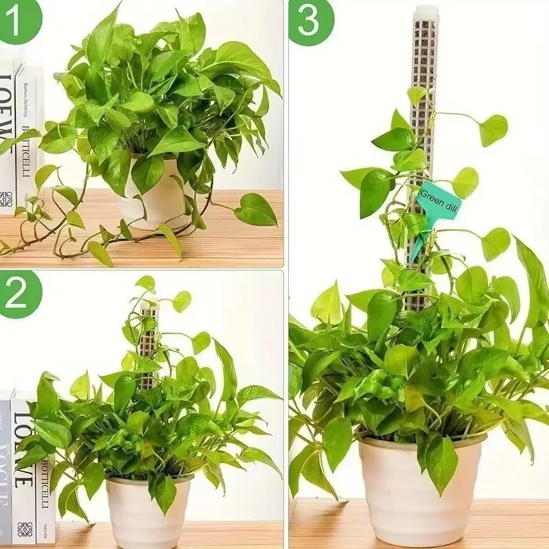 1/2/3pcs Self-watering Moss Pole Stackable Plant Stand Plant Climbing Column Growing Support Stand for Plants Garden Accessories