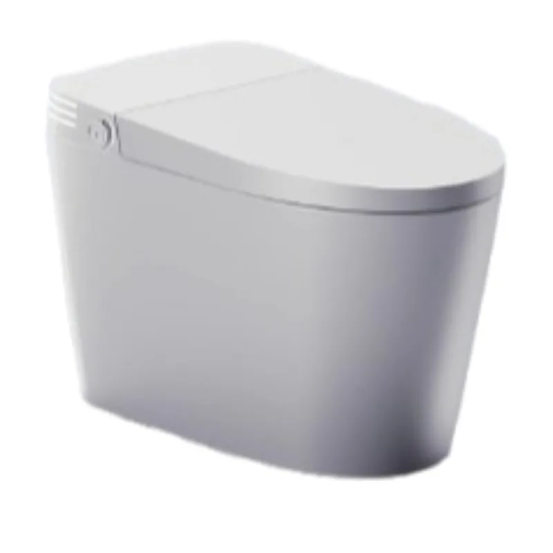 Pembersih Toilet Jepang Smart Toilet Lantai Sanitasi Minimalis Estetis Smart Toilet Dewasa Unik Suchy Syfon Perabot Rumah Tangga