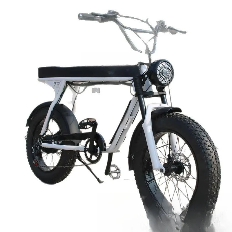 

Off-road electric vehicle, lithium battery snow off-road wide tire double shock absorption variable speed mountain bike