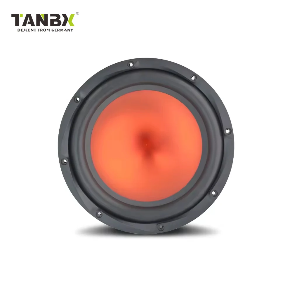 500W Factory Price 10 Inch Car Pure Bass Subwoofer Without Box and Amp Car Audio System TB-O