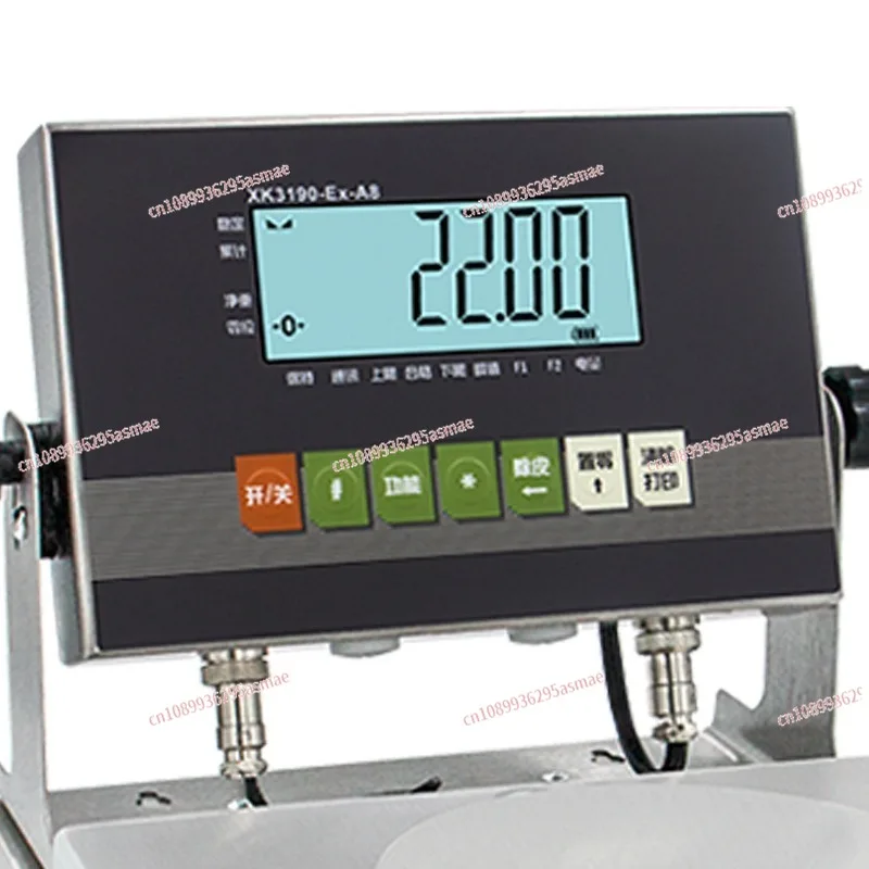 Explosion-Proof Digital Scale - 0.01g High Precision Reinforced Stainless Steel LCD Balance