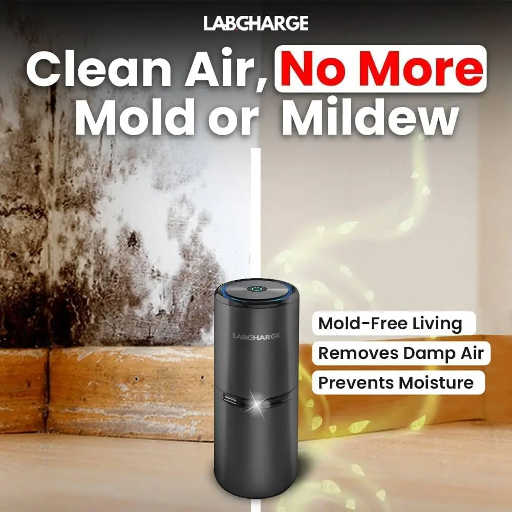 LabCharge kleine ionische luchtreiniger voor thuis en slaapkamer – stil HEPA-filter – dekt 250 m2 - gratis reiniger voor huisdieren, haar, glad
