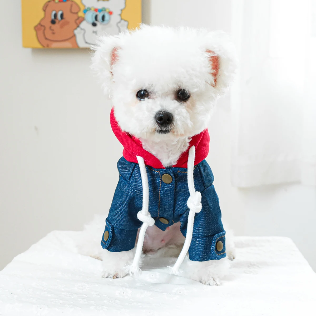 1PC Pet Clothing Dog Cat Spring handsome California cowboy red hat traction coat suitable for small to medium sized dogs