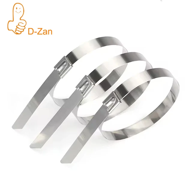 304 Stainless Steel Cable Ties 100pcs 4.6mm Self Locking Metal Wire Ties for Outdoor Bridge Ship Use GC Type
