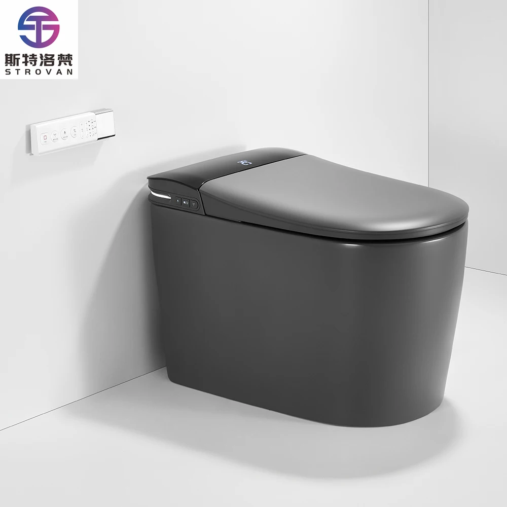 

HKZX Smart Auto High End Toilets Modern Automatic Smart Toilet Auto Open/Close Lid, Floor Mounted Installation (CE Certified)