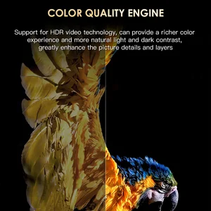 8 en çok satan, tv kutusu, ıptv kutusu-no. 4