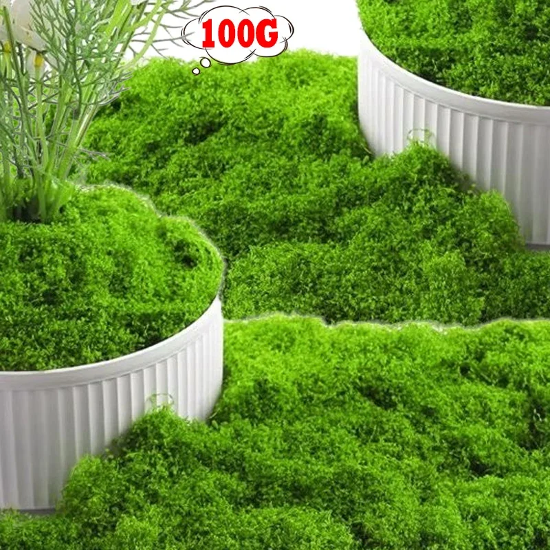 100/50/30g Artificial Moss Eternal Green Simulated Moss DIY Crafts Room Garden Floor Wedding Decor Mini Landscape Fake Grass