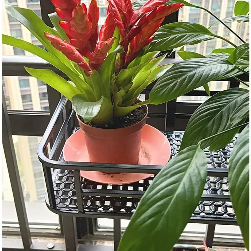 Elegant European-Style Flower Stand Expansive Iron Art Balcony Rail Organizer Decorative Hanging Pot Holder Urban Green Space image 3