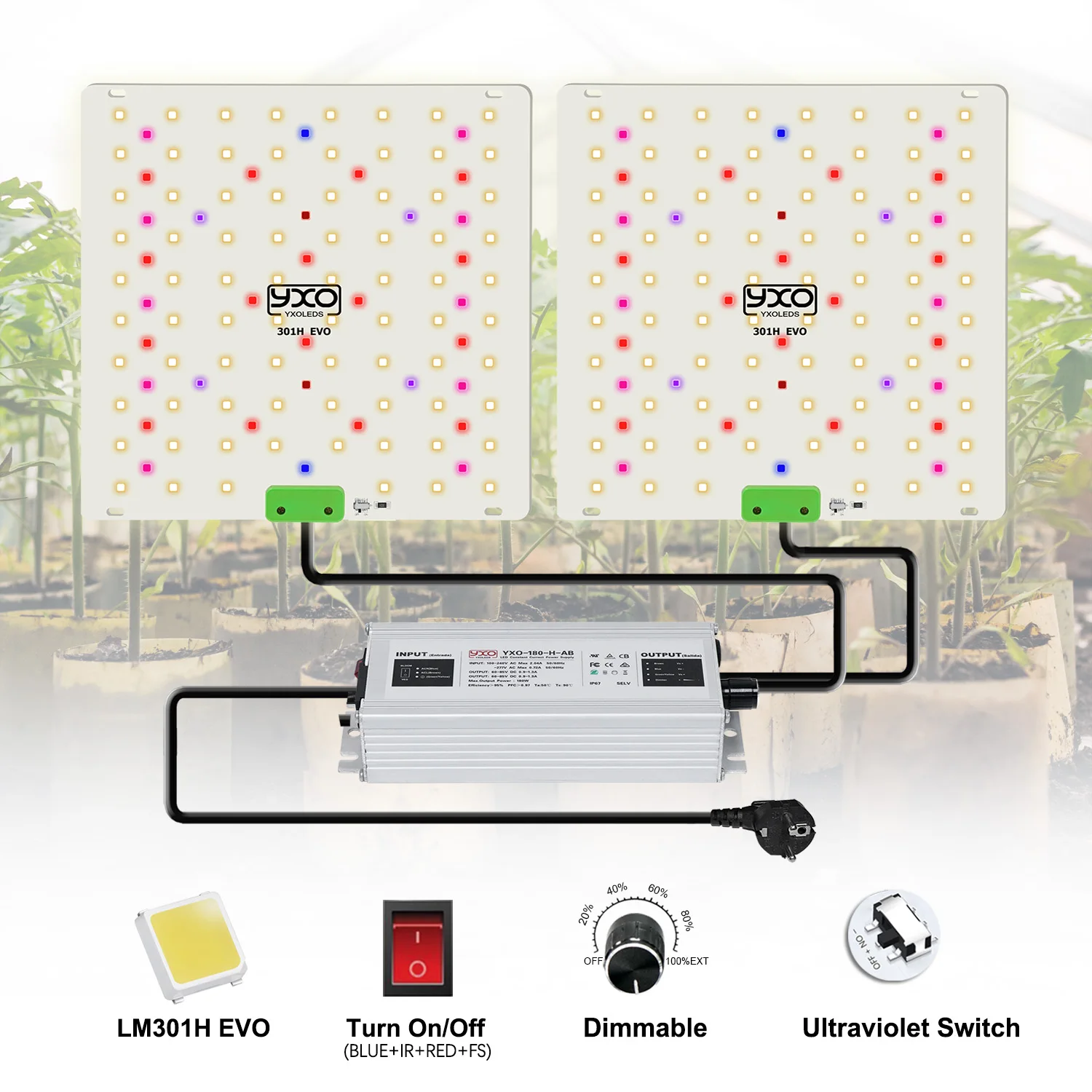 180 W Vollspektrum-LED-Wachstumslicht LM301H EVO LED Sunlike 85 W Quantum Wachstumslampe für Gewächshaus-Hydrokultur-Pflanzenwachstumsbeleuchtung