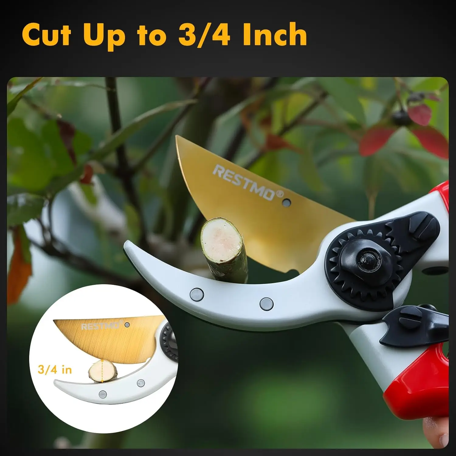 Tijeras de podar Pro de 8,6" - Hoja de acero Titanio SKS5, mangos de aluminio forjado, cortaúñas Bypass con nitidez duradera