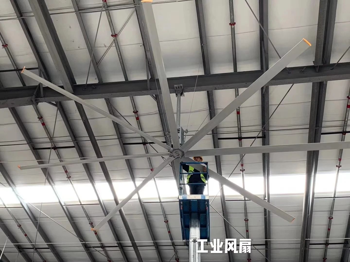 Picture 4: 11ft Factory Low Power Consumption Ceiling Fan