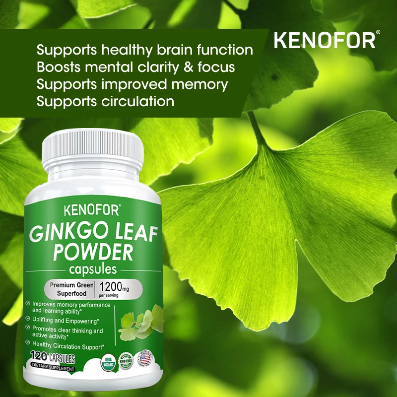 Ginkgo Biloba Capsules Natural Brain Support, Memory Focus & Mental Clarity, Eye Vision & Circulation Wellness, Non-GMO Vegan