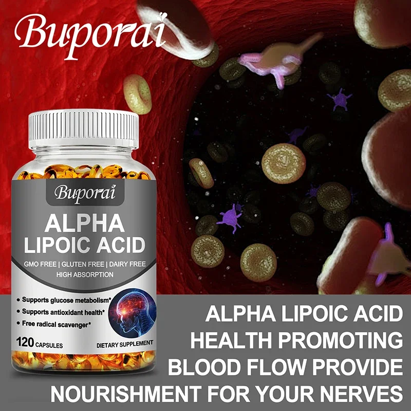 Alpha Lipoic Acid - Supports Brain and Heart Health, Improves Cognitive Function, and Relaxes Nerves