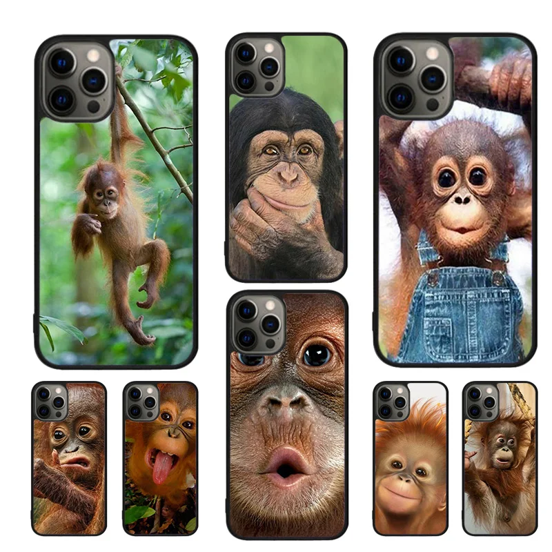 Orangutan Monkey Pr…